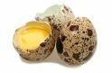 Польза перепелиных яиц для мужского здоровья