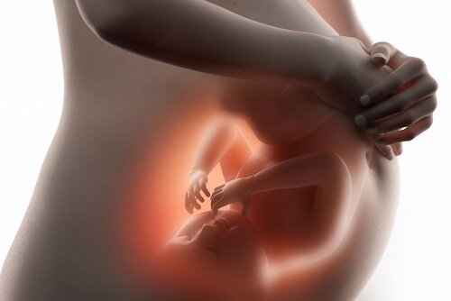 беременная женщина изнутри